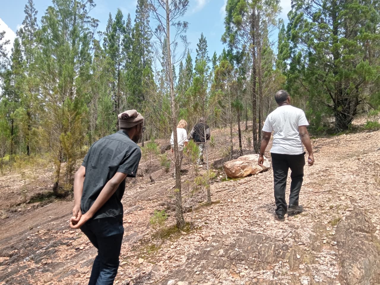 Hikers on a rocky forest path in Kakamega