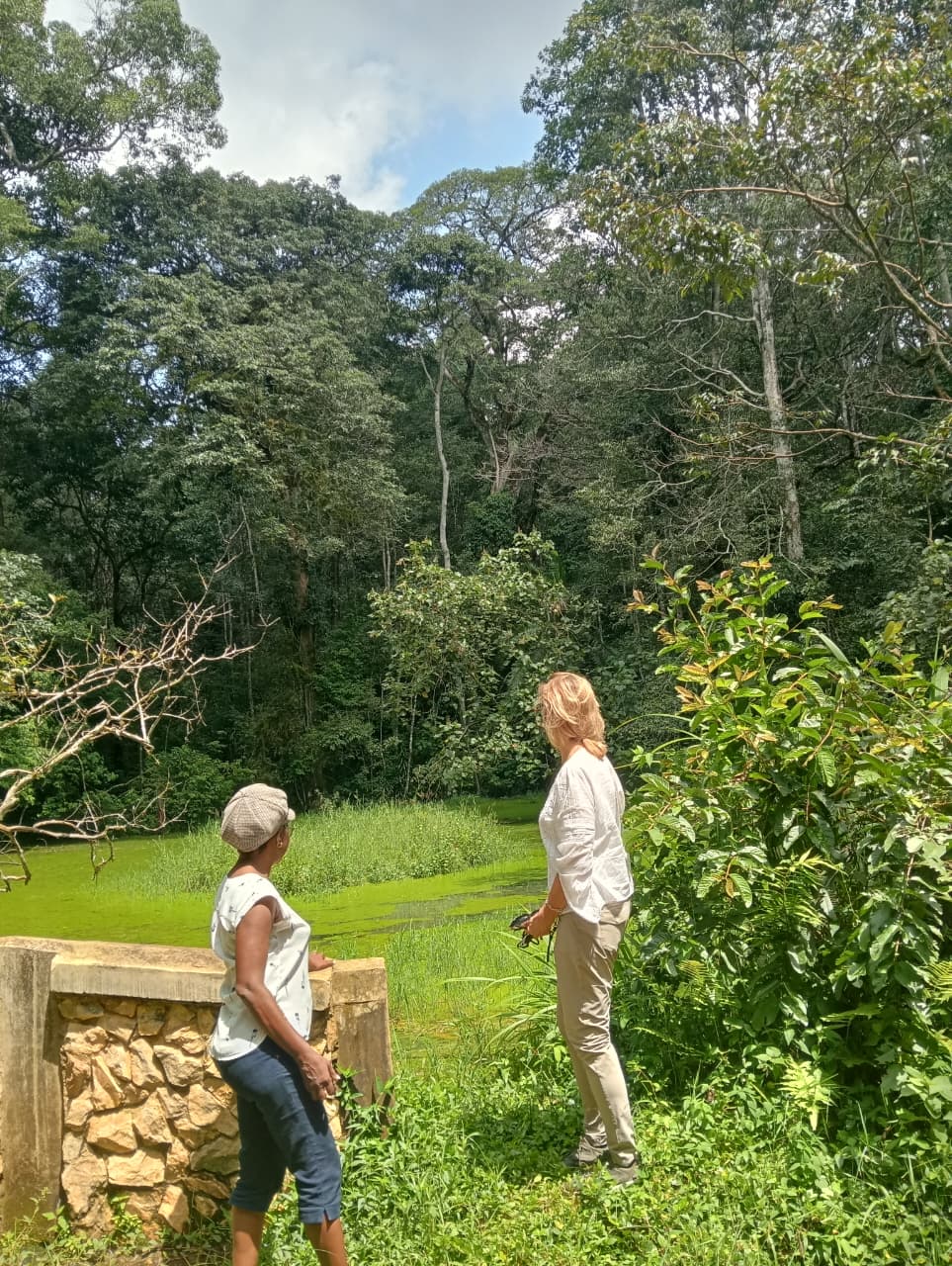 Guests exploring Kakamega Forest