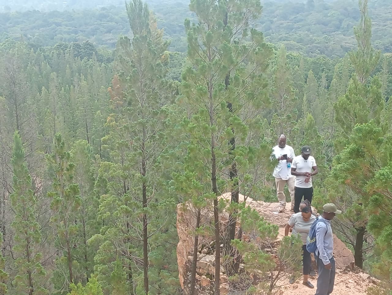 Hiking in Kakamega Forest